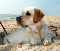 Увеличить фото -